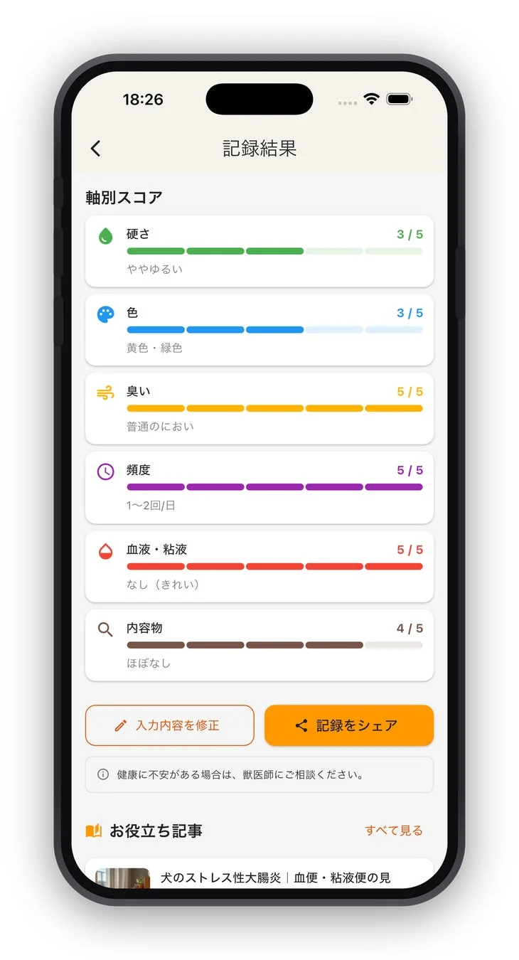 軸別スコア詳細