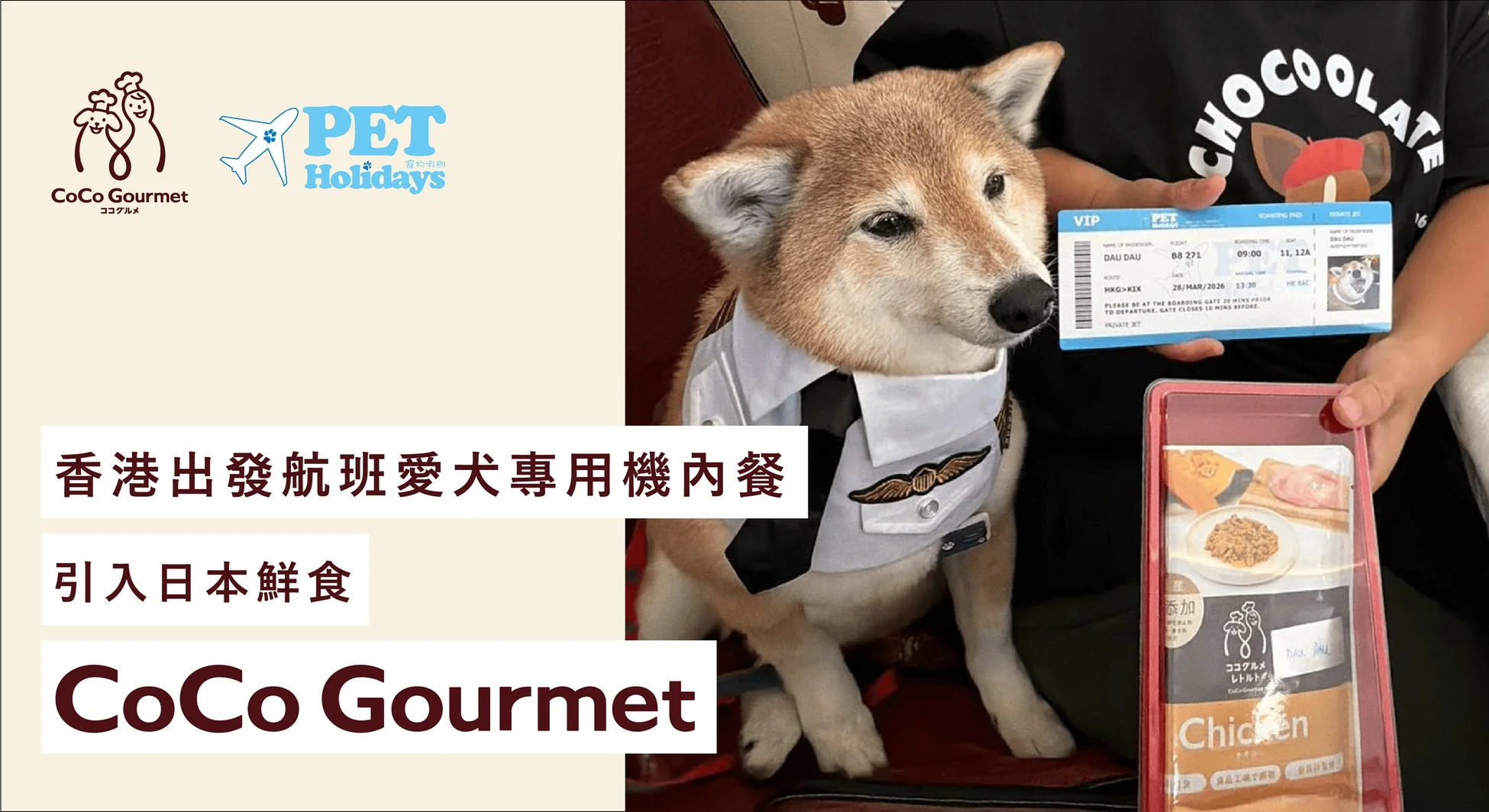 プライベートジェットでココグルメを楽しむ柴犬