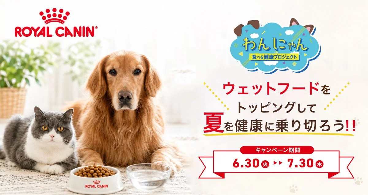 夏バテ知らず！ペテモとロイヤルカナンが「わんにゃん食べる健康プロジェクト」で“トッピング習慣”を提案！不破湊さんコラボも見逃せない！