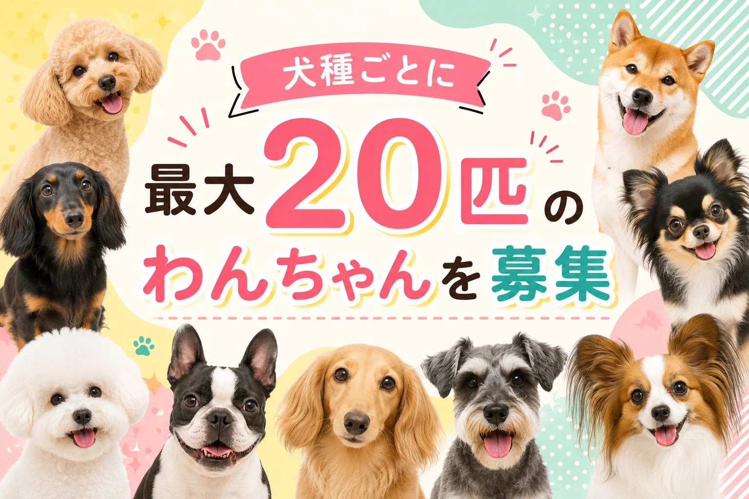犬種ごとにモデル犬を募集