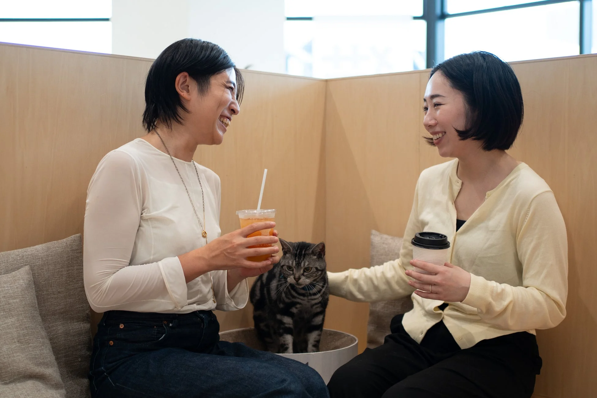 女性たちが猫を囲んで会話