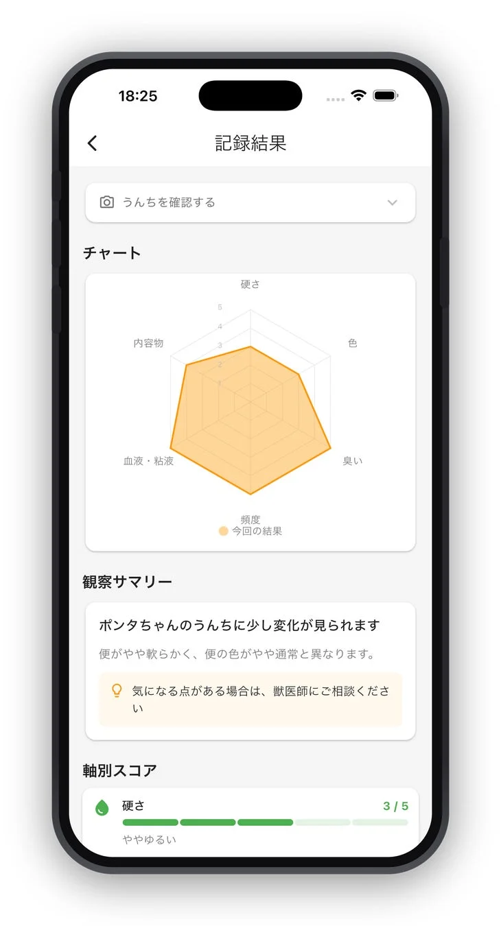 レーダーチャート