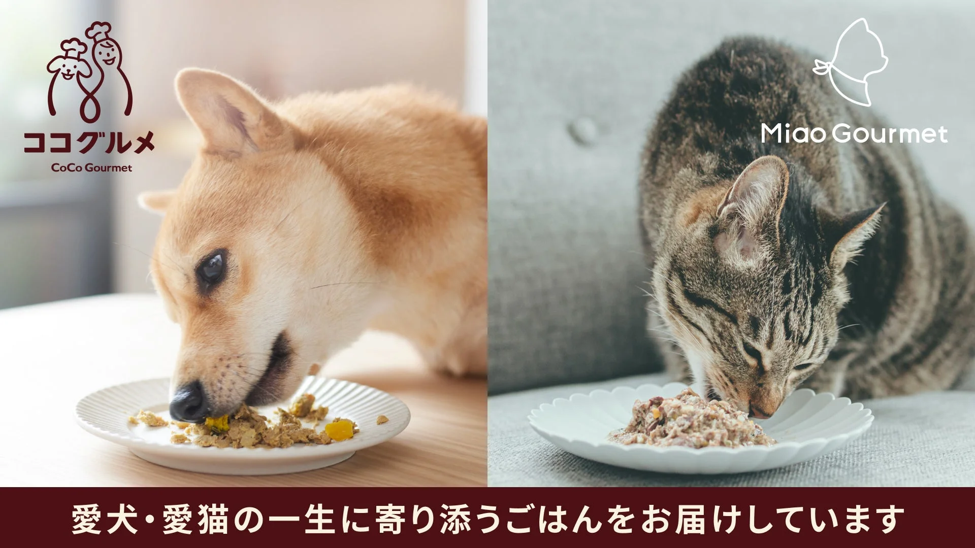 愛犬・愛猫の一生に寄り添うココグルメとミャオグルメ