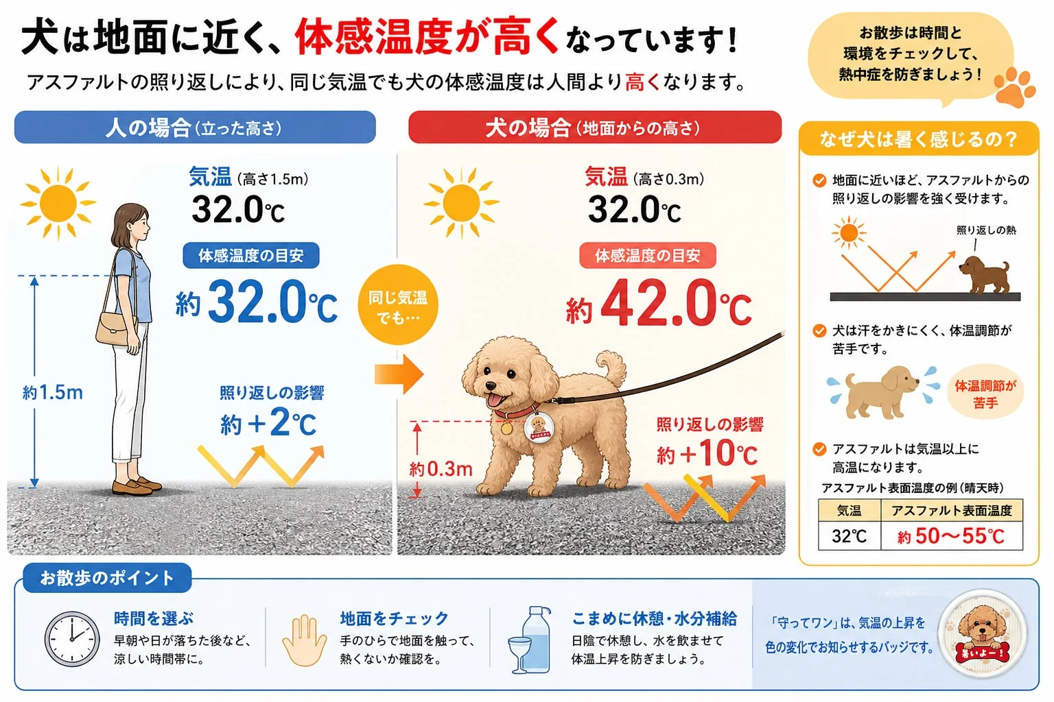 愛犬の「暑いよ！」が色でわかる！熱中症対策バッジ『守ってワン』で、今年の夏はもっと楽しく安全に！