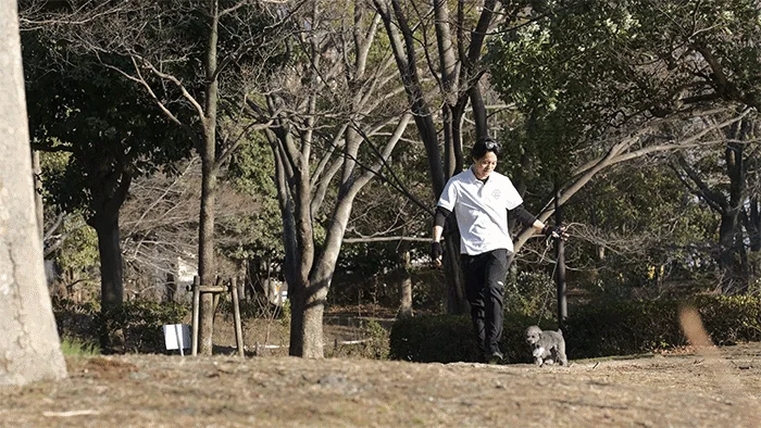 晴れた日に公園で小型犬を散歩させている男性