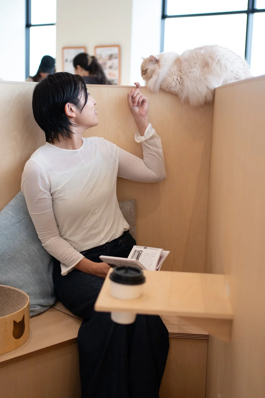 女性が猫と触れ合う様子