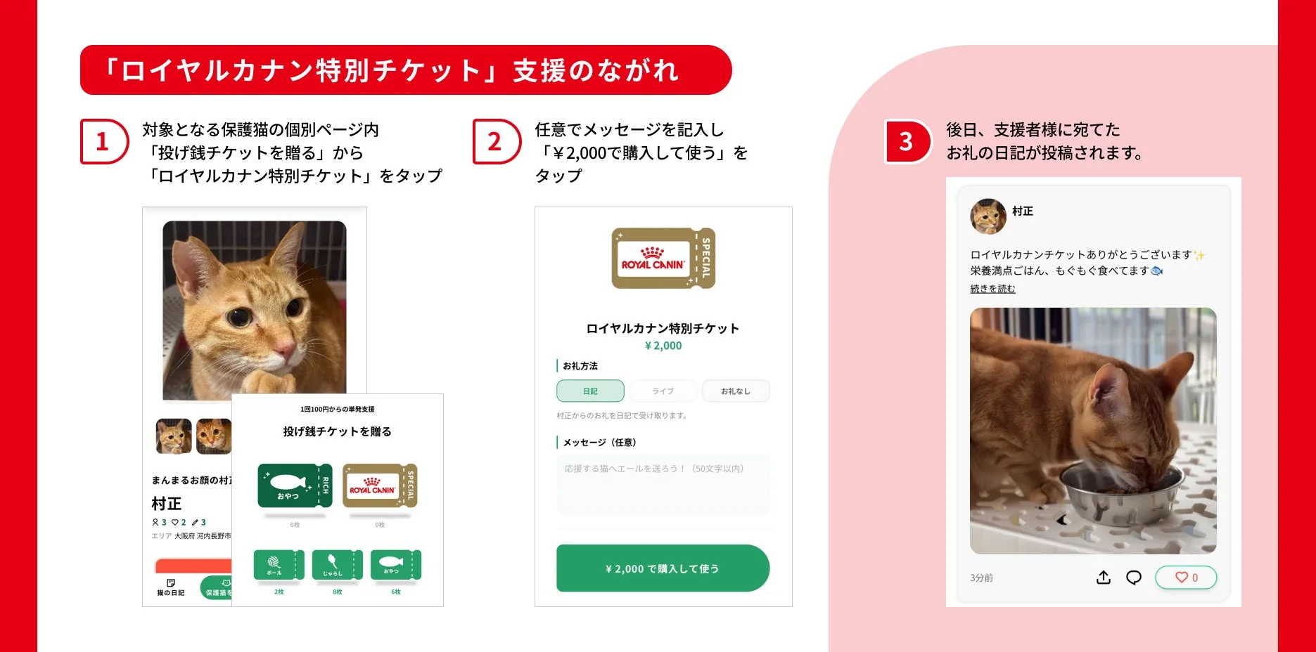ロイヤルカナン特別チケット支援の流れ