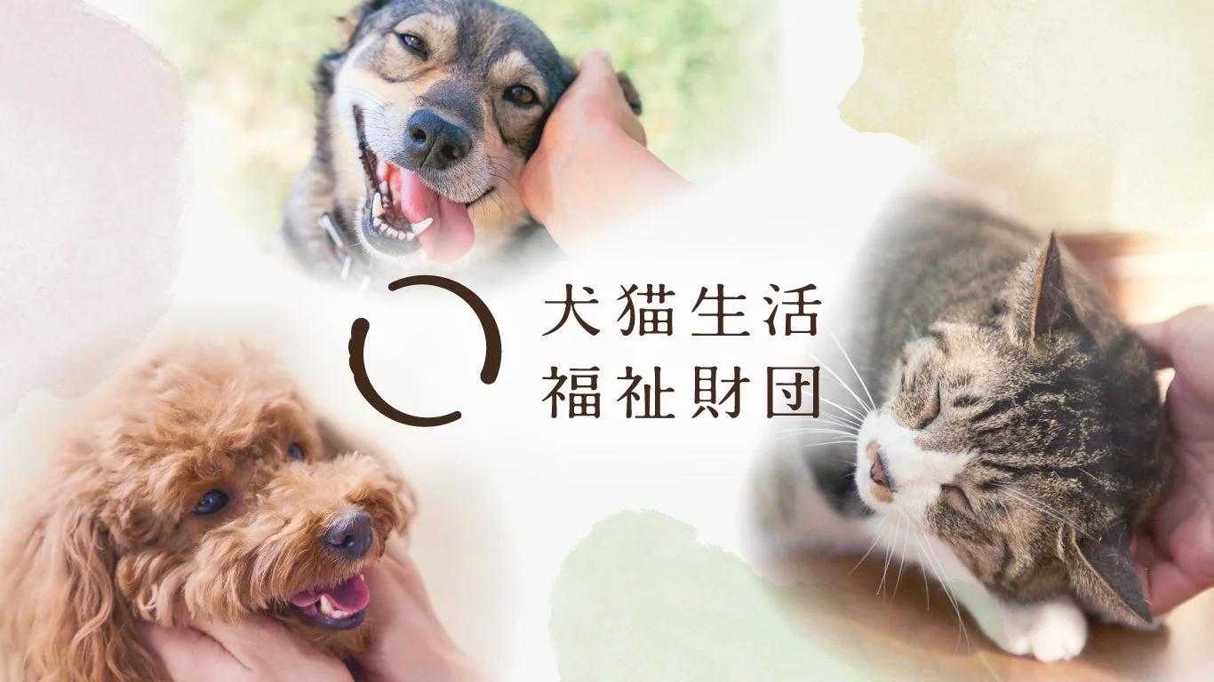 犬猫生活福祉財団が助成金公募をスタート！保護・譲渡活動でワンニャンに優しい未来を届けよう！