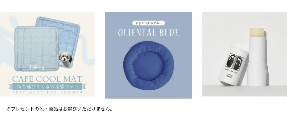 プレゼントキャンペーン