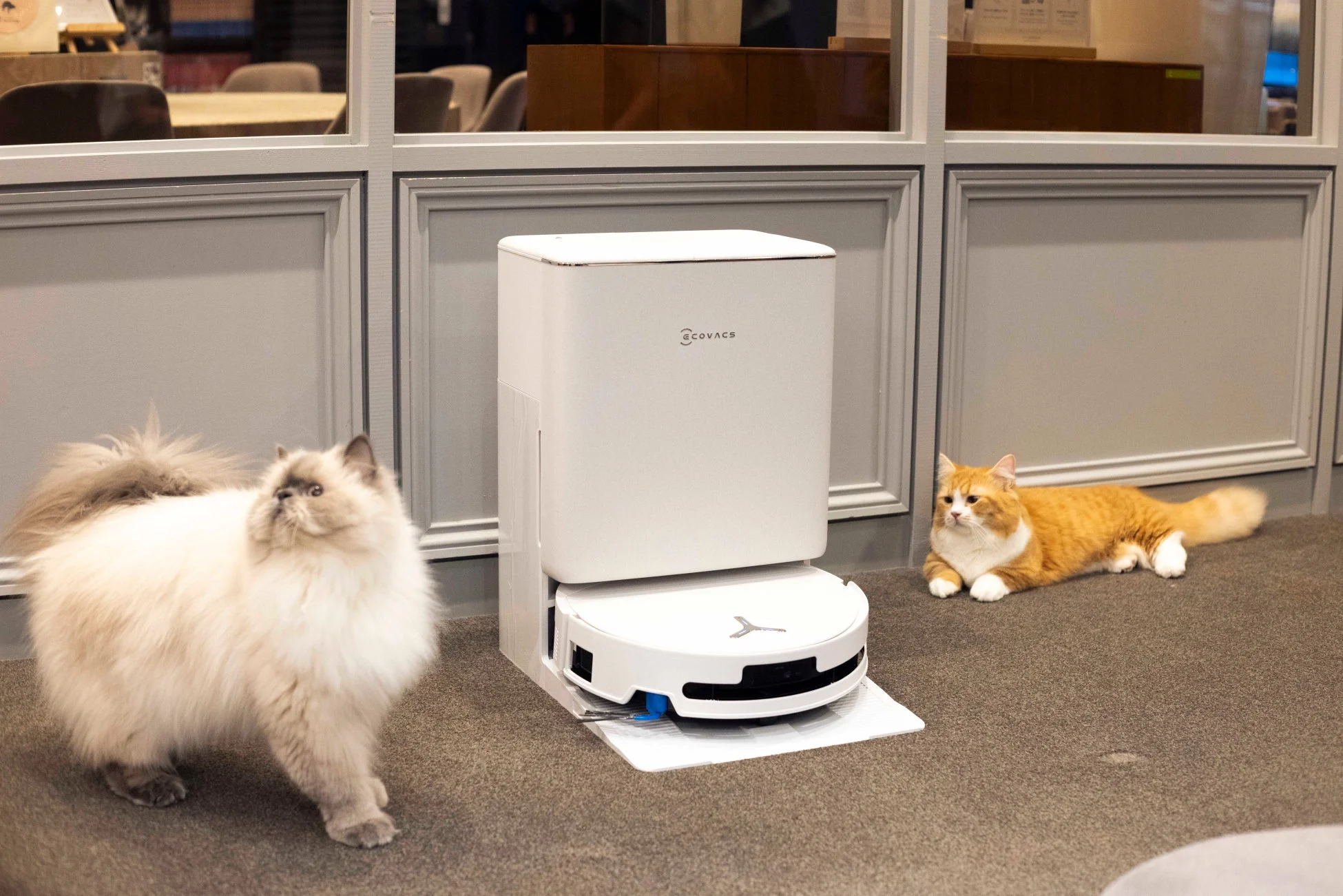 猫カフェやドッグランがもっと快適に！エコバックスのロボット掃除機「DEEBOT T90 シリーズ」がペット施設を強力サポート！