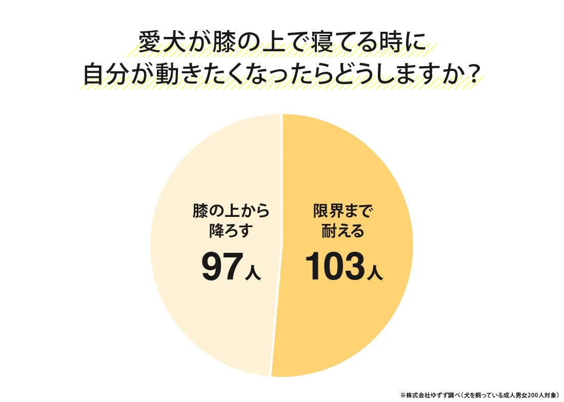 愛犬が膝の上で寝ている時の飼い主の行動グラフ
