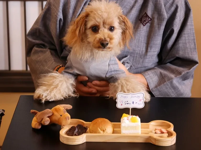 飼い主と犬とケーキ