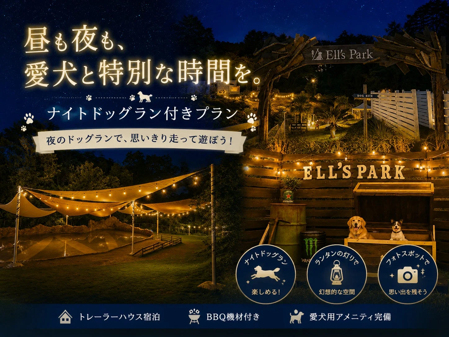 ナイトドッグラン付き宿泊プランの広告