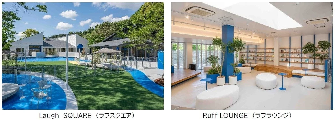 ドッグパークエリア