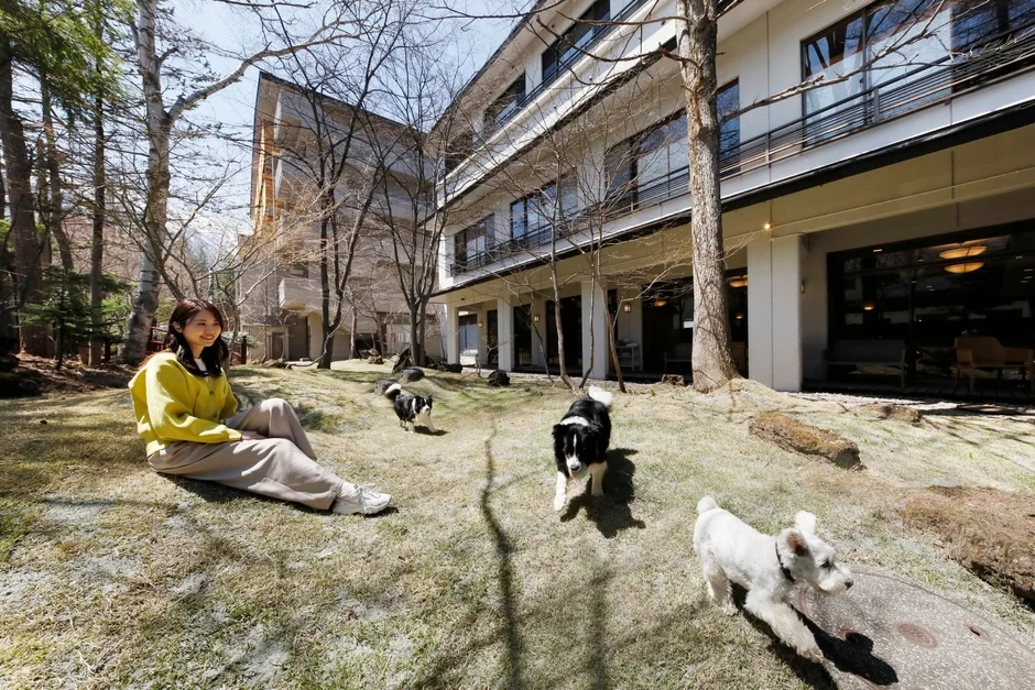 芝生で犬たちとくつろぐ女性