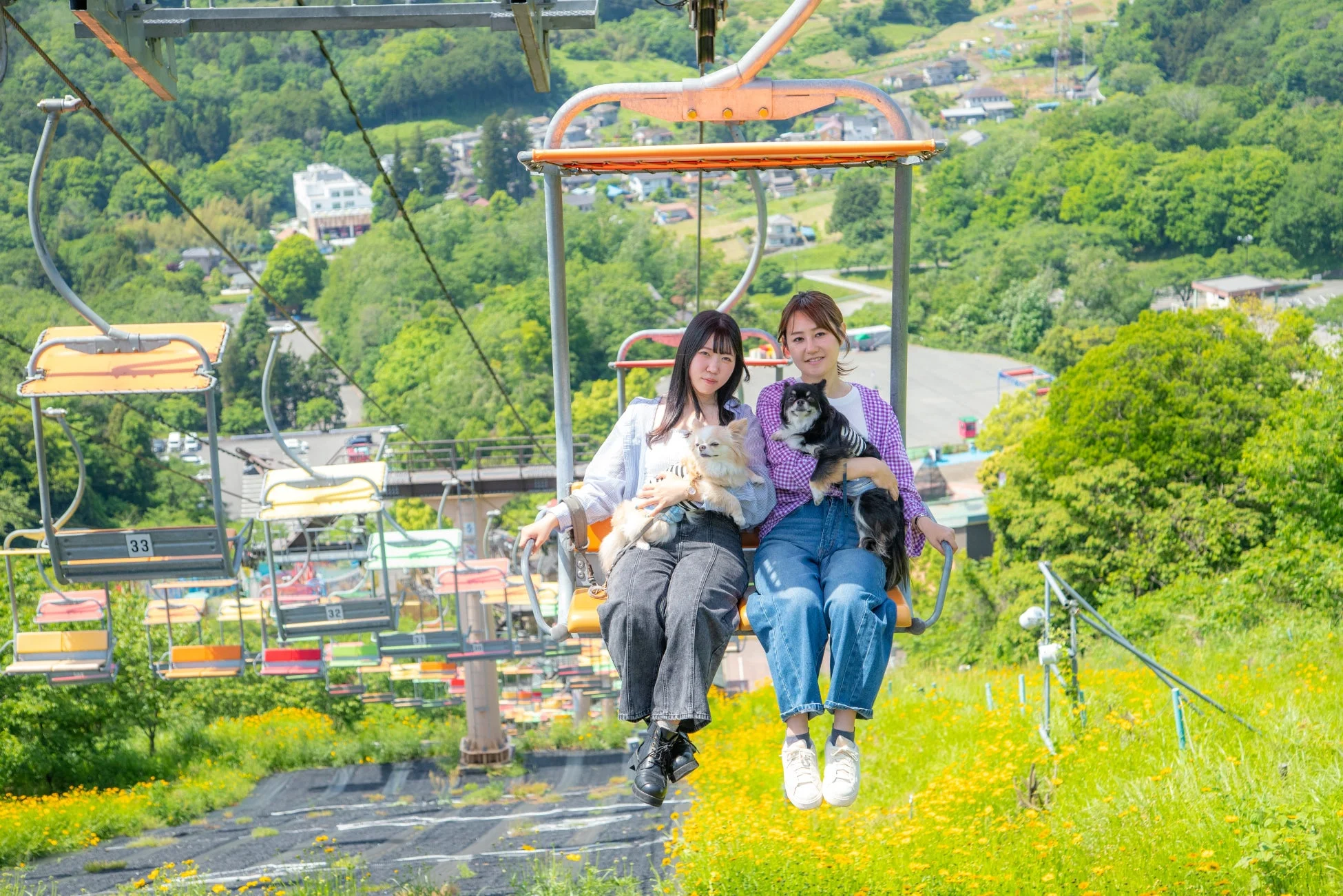 チェアリフトに乗る女性と犬