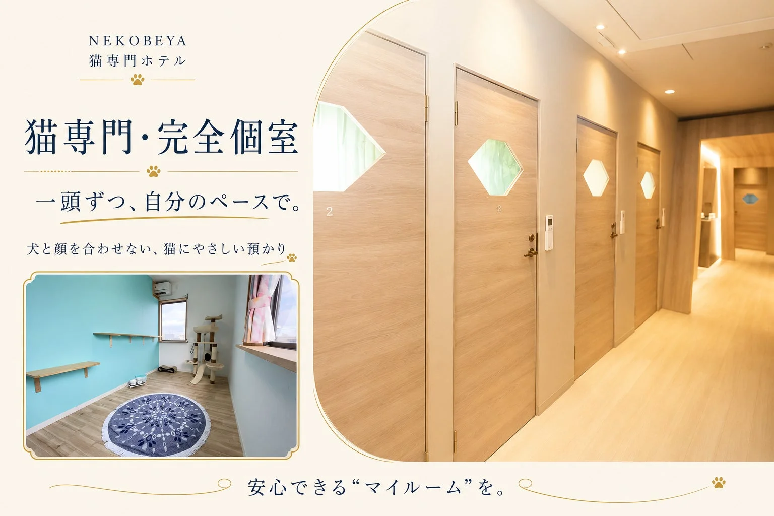 猫専門ホテルの個室の様子