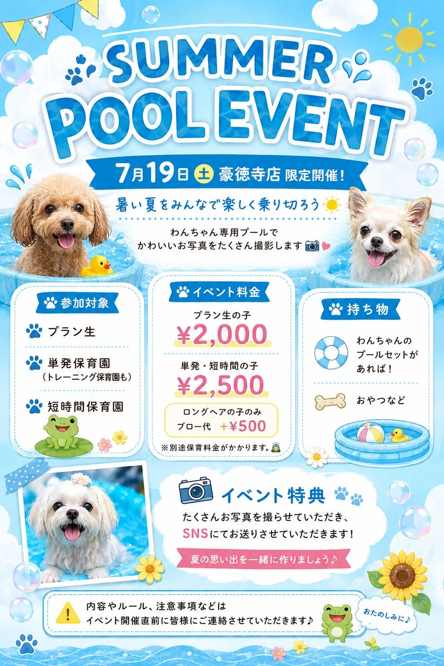 わんちゃんと一緒に夏を満喫！Pets Tokyo豪徳寺2号店でSUMMER POOL EVENTが開催決定！