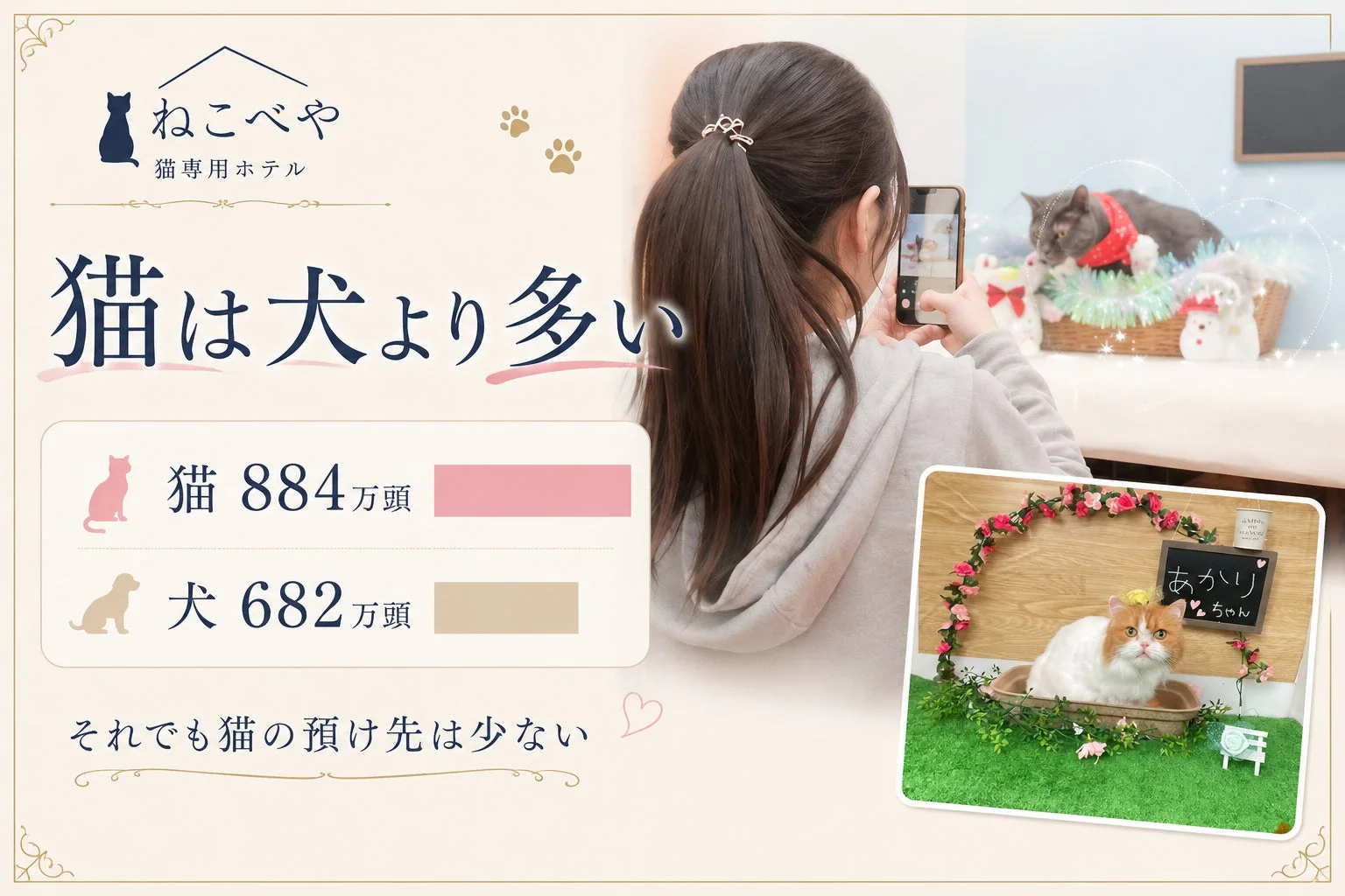 猫と犬の飼育頭数比較と猫の預け先不足