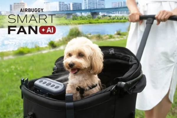 愛犬と街へ飛び出そう！夏の都市型ペットツーリズムが快適になる秘訣