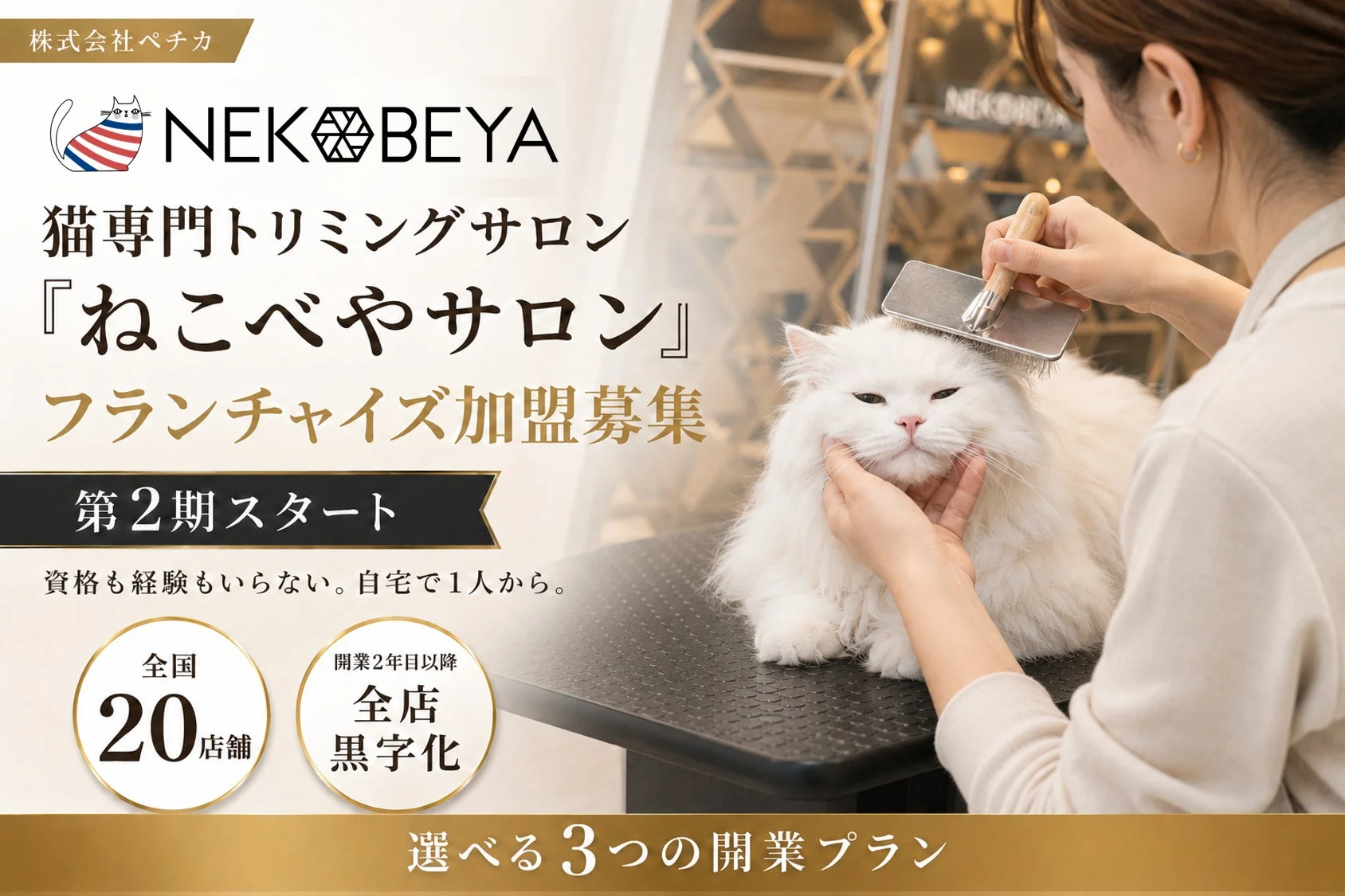猫好きさん、集まれ！『ねこべやサロン』がフランチャイズ第2期募集を開始！あなたの「好き」を一生の仕事にしませんか？