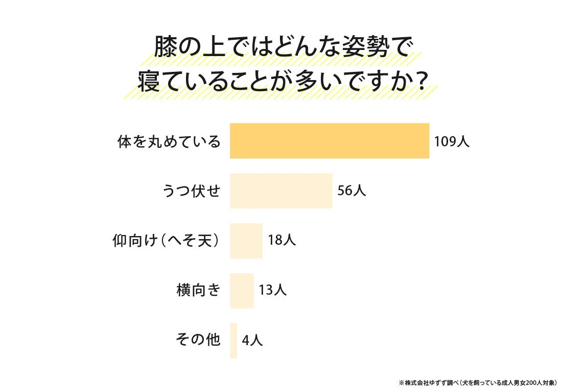 愛犬が膝の上で寝る姿勢のグラフ