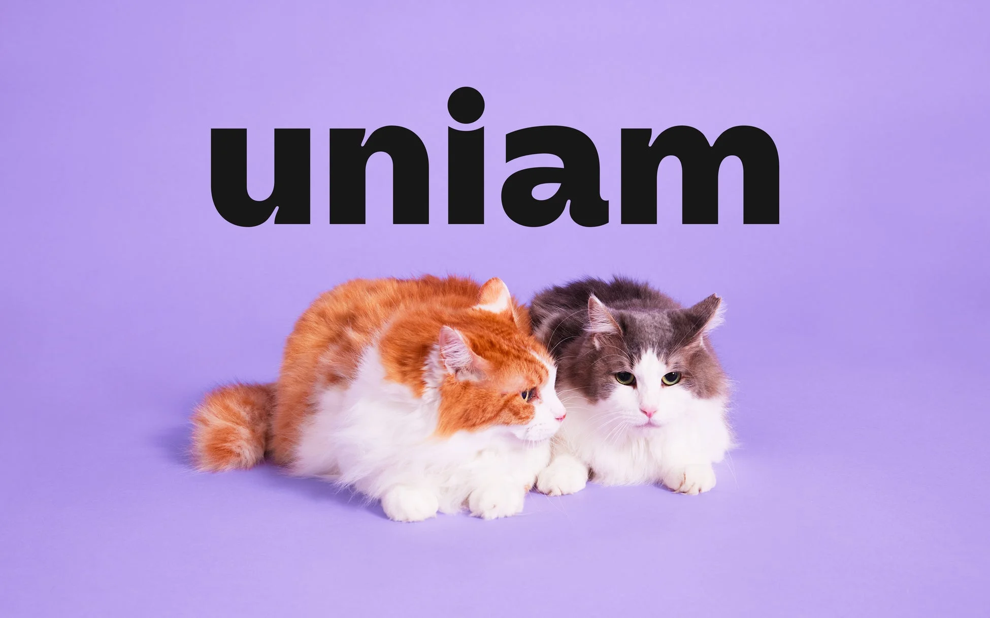 uniamのロゴと猫