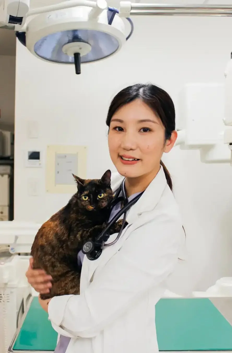 獣医と猫