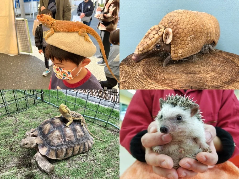様々な動物と触れ合う人々の様子