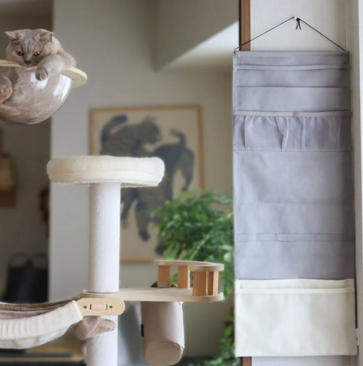 キャットタワーの猫とアイボリーのウォールポケット