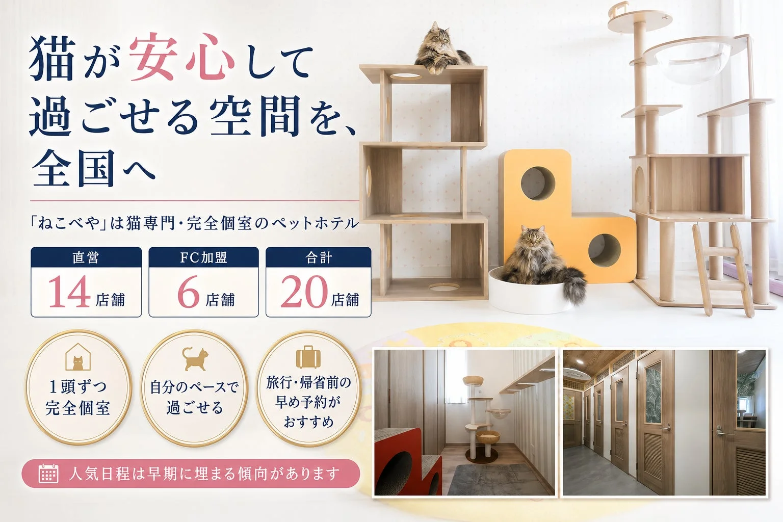 猫が安心して過ごせる空間を、全国へ