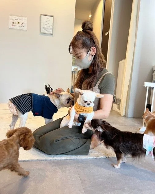 女性と犬たち