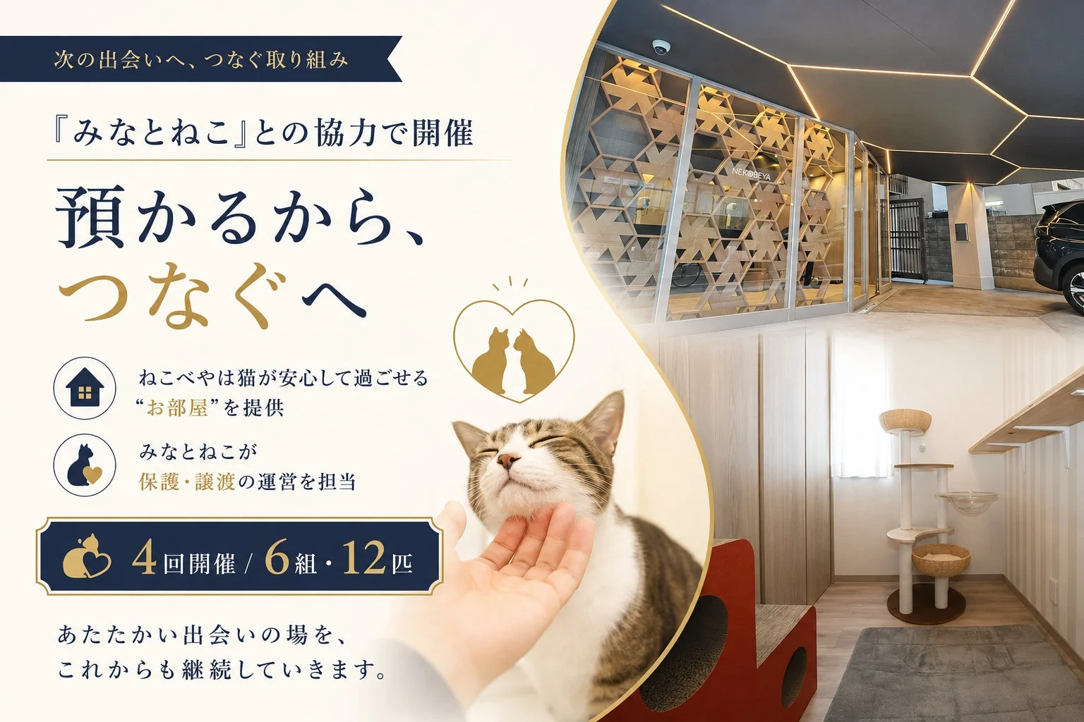 みなとねことの協力