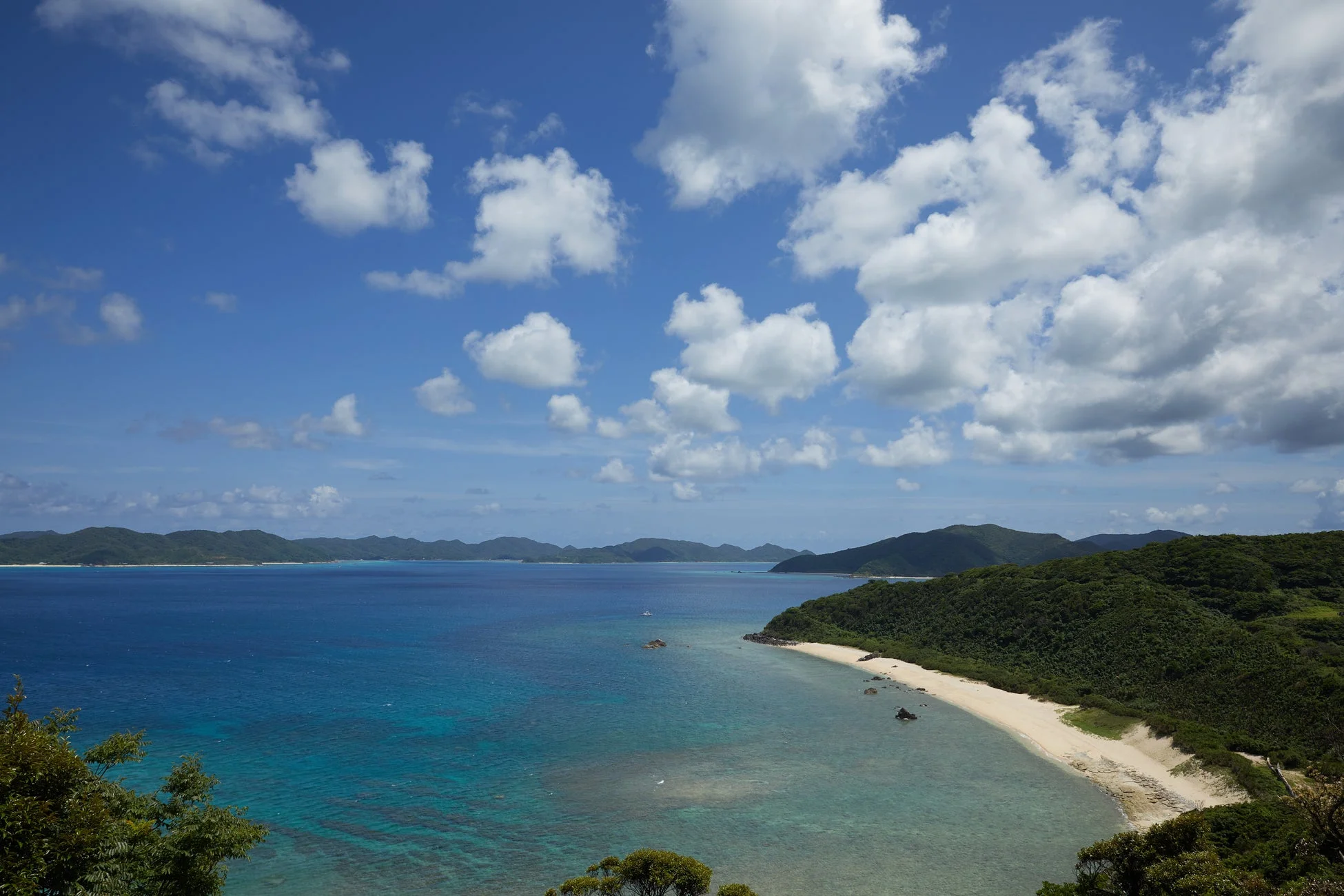 海とビーチの景色
