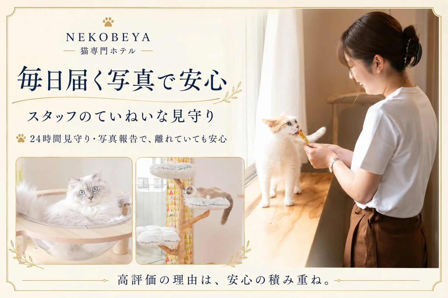 猫に餌を与える女性とくつろぐ猫