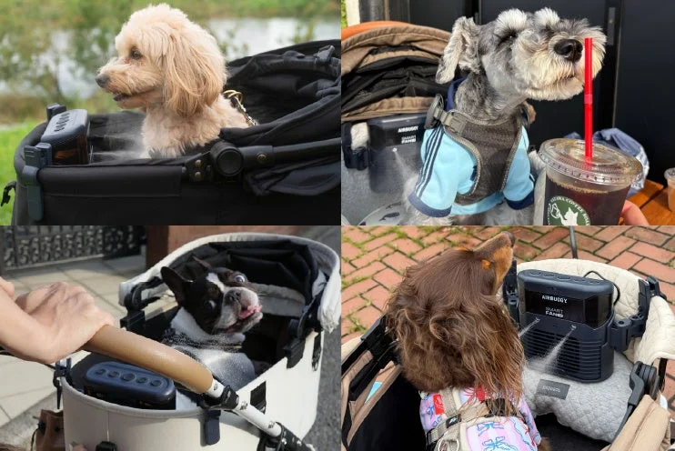 ペットカートに乗って外出を楽しむ様々な犬たち
