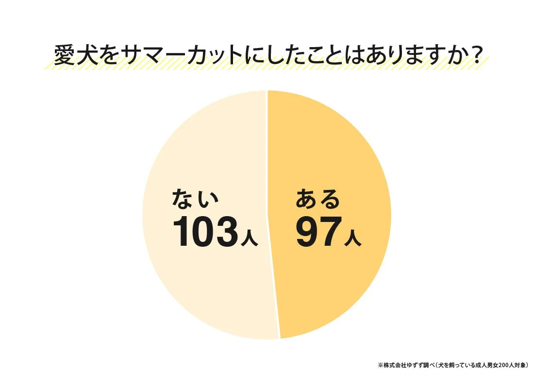 愛犬をサマーカットにしたことはありますか?