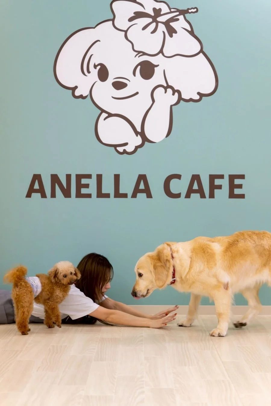 女性と犬たち
