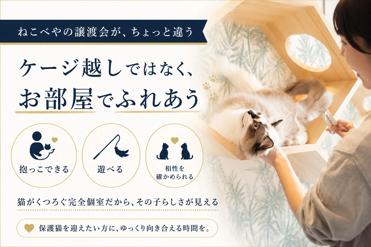 お部屋でふれあう譲渡会