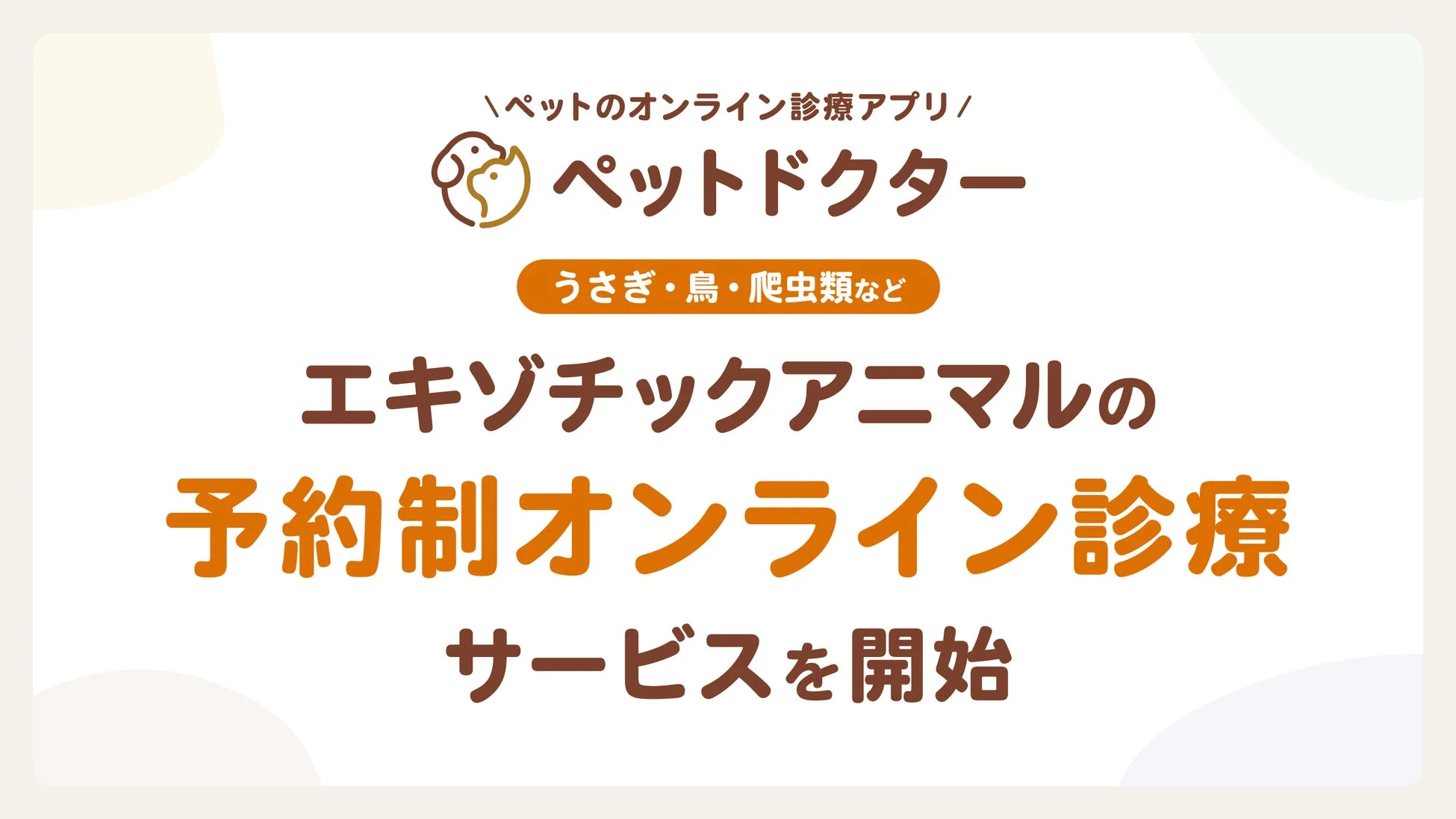 うさぎや鳥、爬虫類も！「ペットドクター」がエキゾチックアニマル向けオンライン診療を開始！