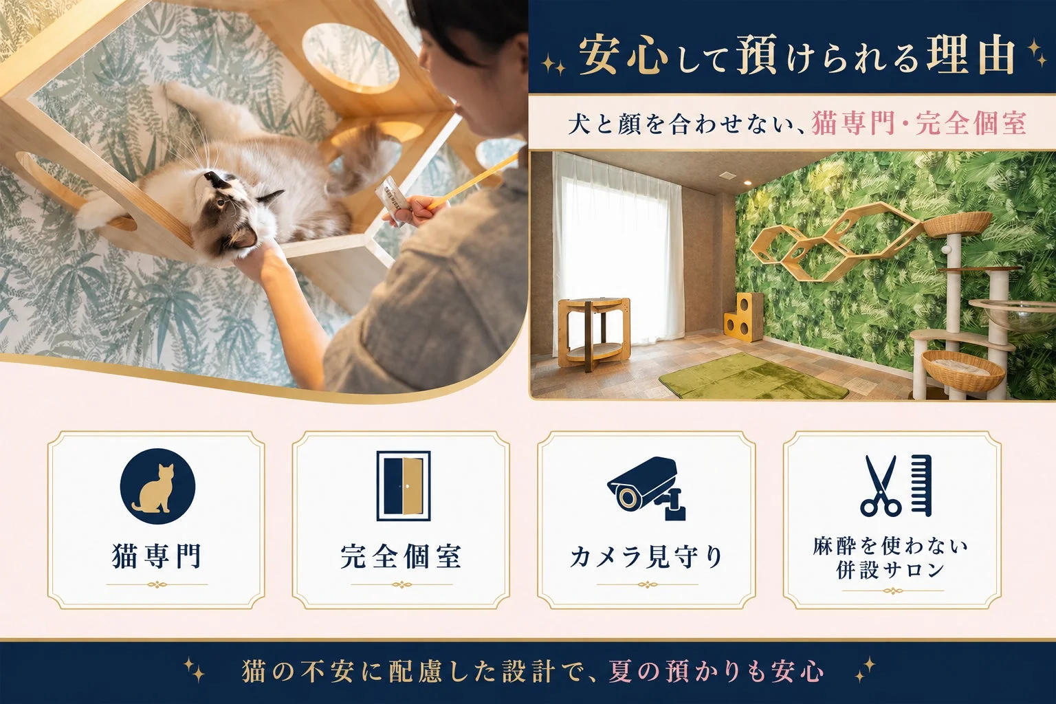 安心して預けられる理由 犬と顔を合わせない、猫専門・完全個室