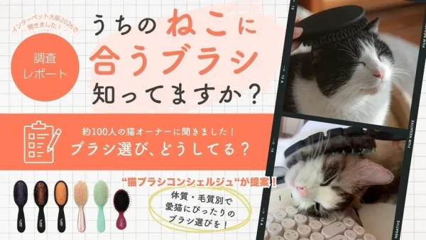 うちの子にぴったりのブラシ見つかる！猫のブラッシングに「パーソナライズ」という新常識