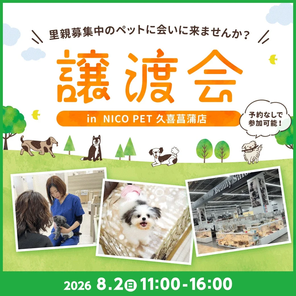 可愛い家族との出会いが待ってる！2026年8月2日（日）NICO PET 久喜菖蒲店で譲渡会が開催されます！