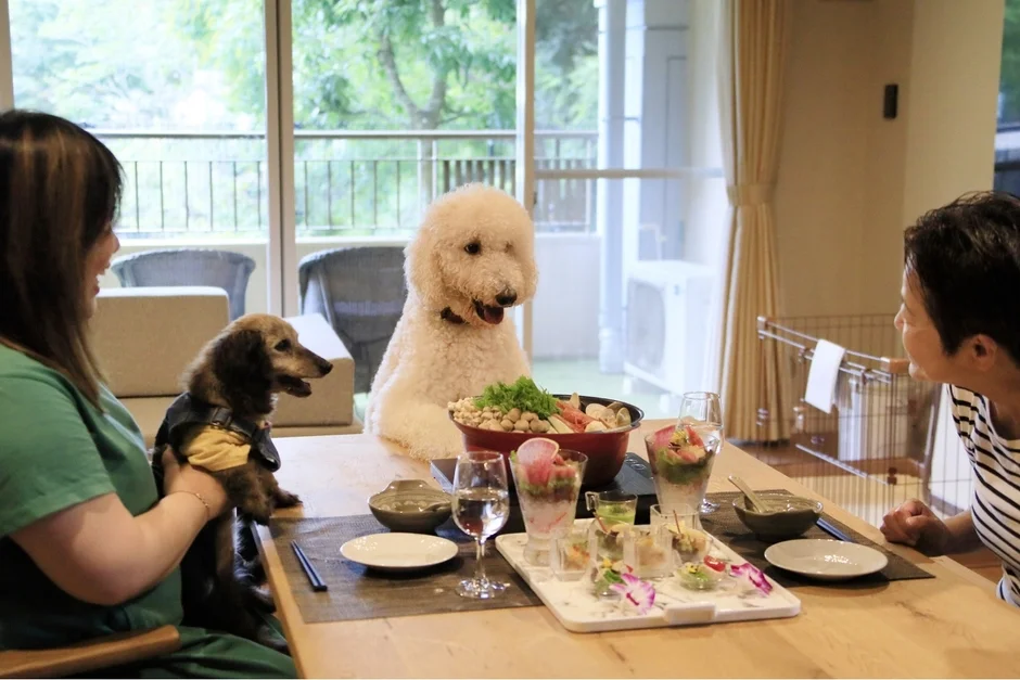 ダイニングテーブルで2人の女性と2匹の犬が食事を楽しんでいる