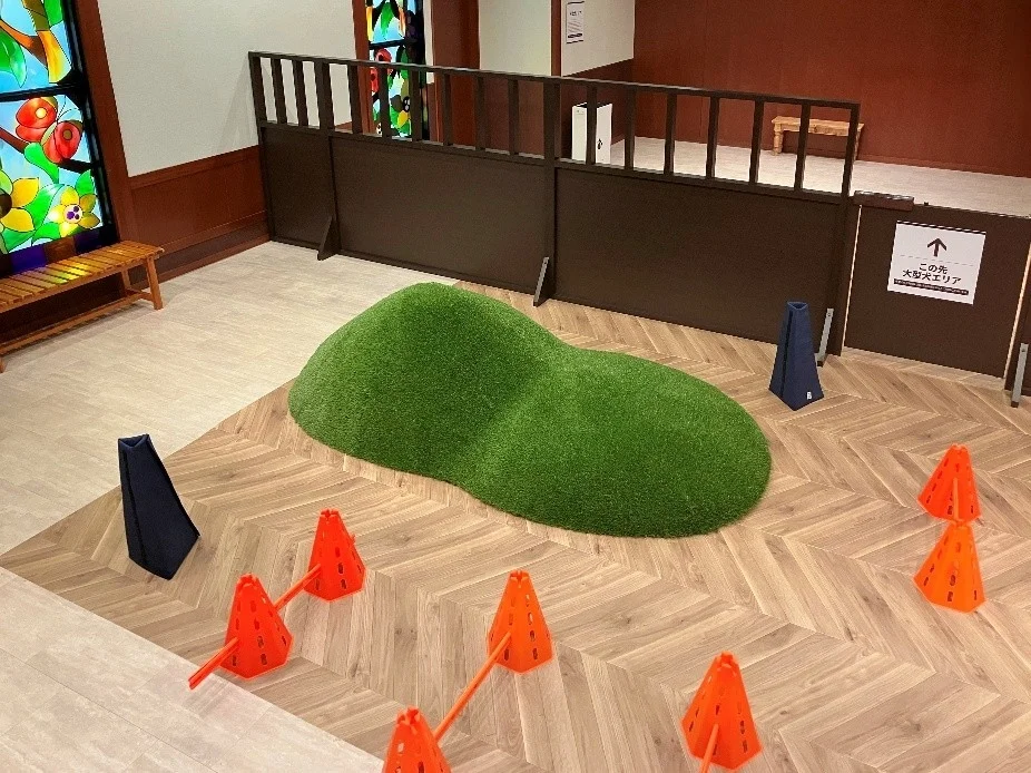 室内ドッグランの丘