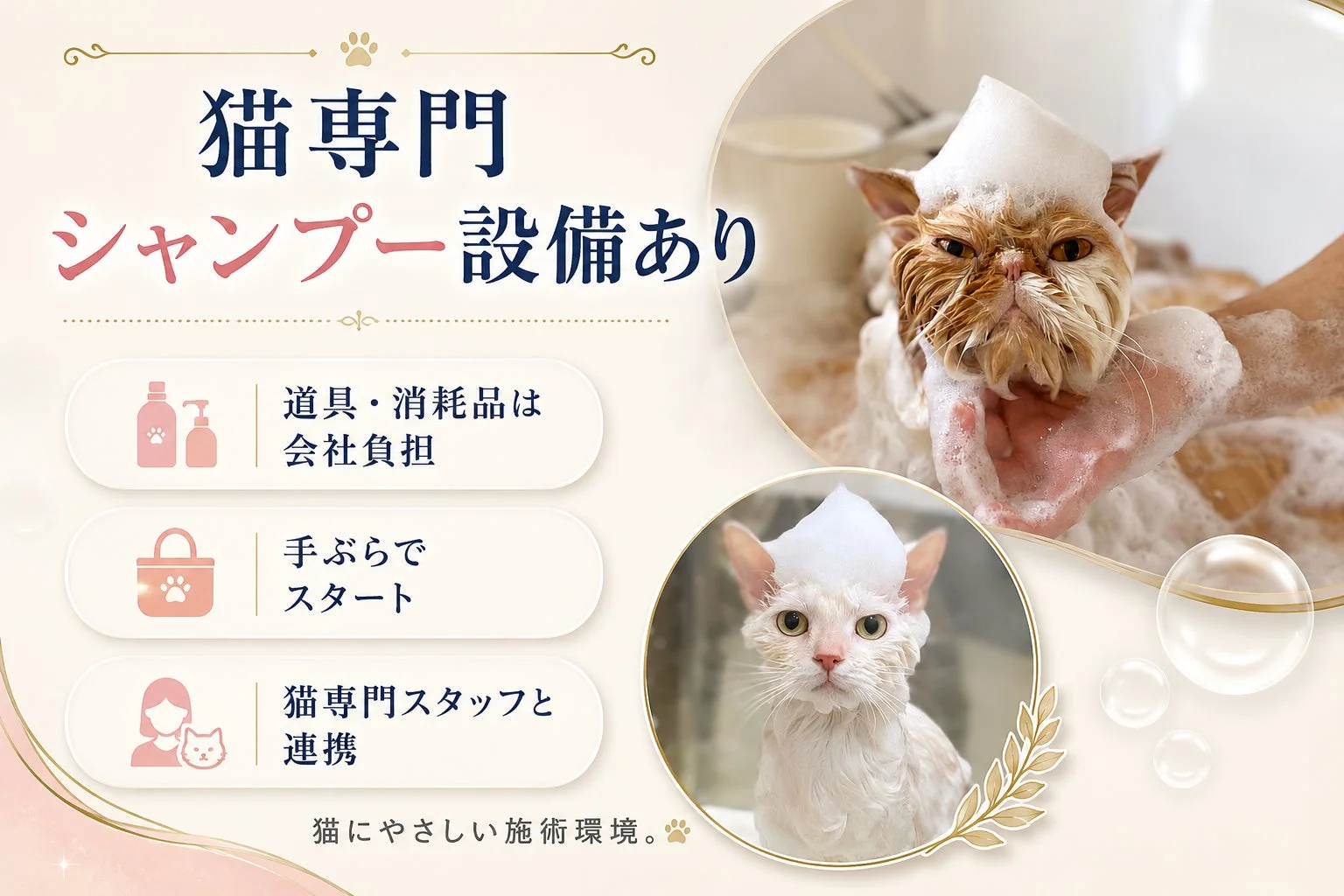 猫専門シャンプー設備あり