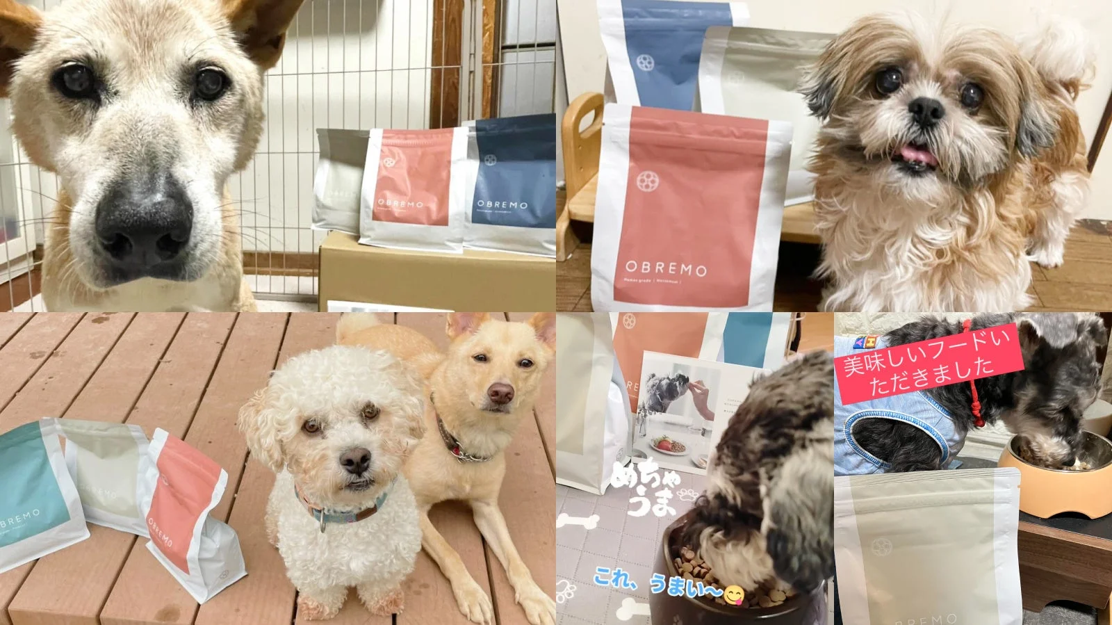 「OBREMO」のドッグフードを食べる様々な犬たちのコラージュ画像