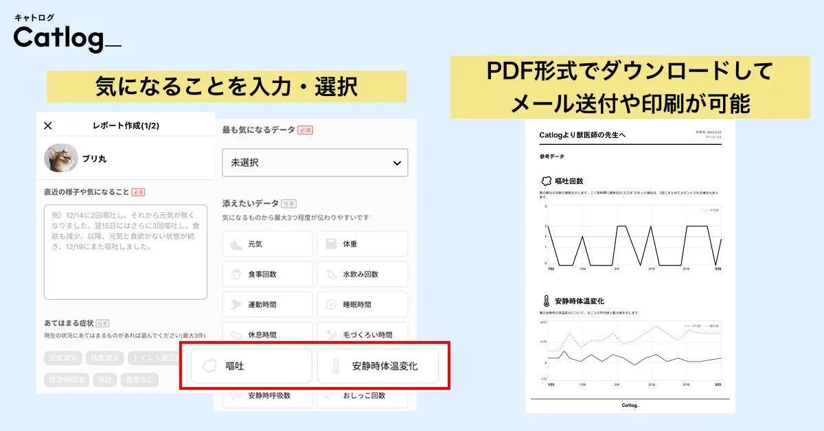Catlog通院レポート