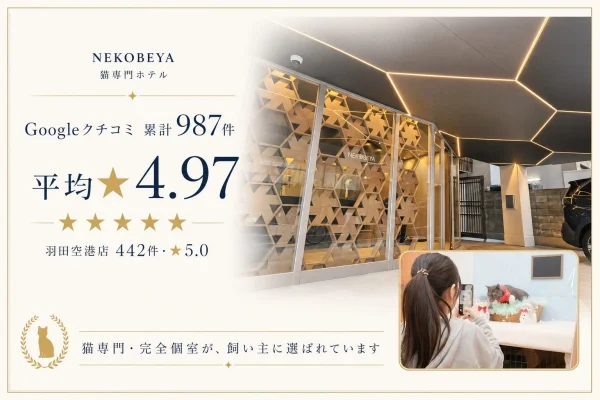 猫専門ホテル『ねこべや』がGoogleクチコミで驚異の★4.97！羽田空港店はまさかの★5.0獲得！