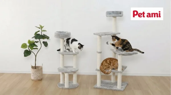 工具不要で猫ちゃんの特等席が完成！「Petami 組み立て簡単 キャットコンド」で愛猫と快適ライフを楽しもう！